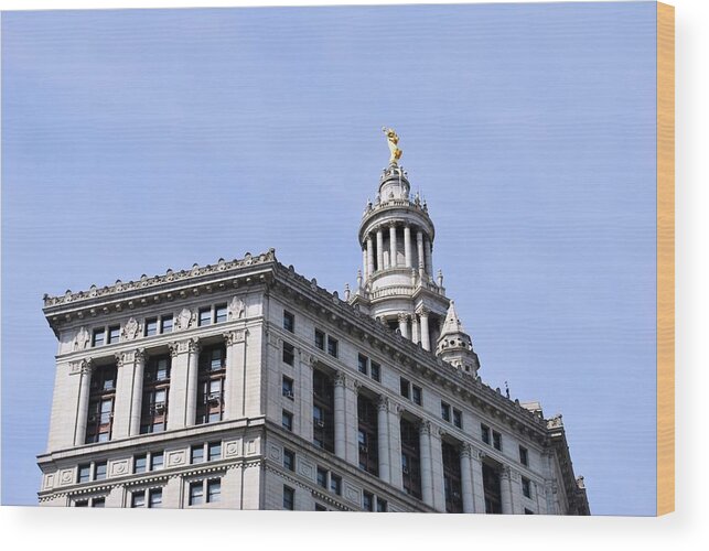 City Wood Print featuring the photograph New York City Hall - Top View by Matt Quest