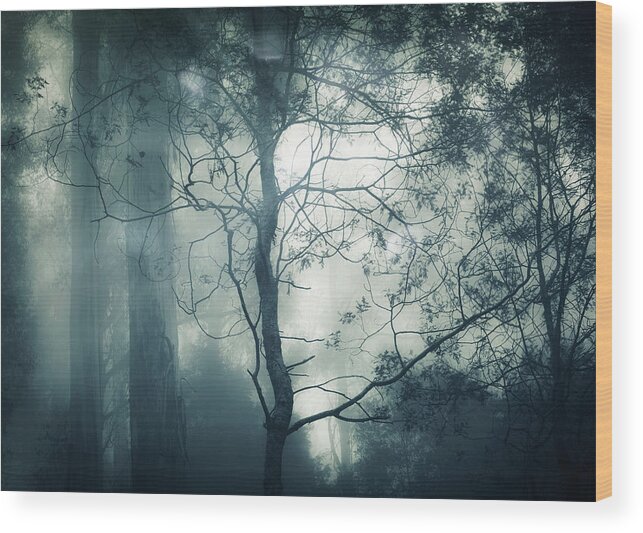 Fog Wood Print featuring the photograph Nightfall by Amy Weiss