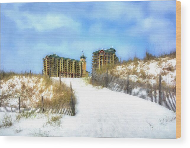 Norriego Point Sand Dunes Wood Print featuring the photograph Norriego Point Sand Dunes by Mel Steinhauer