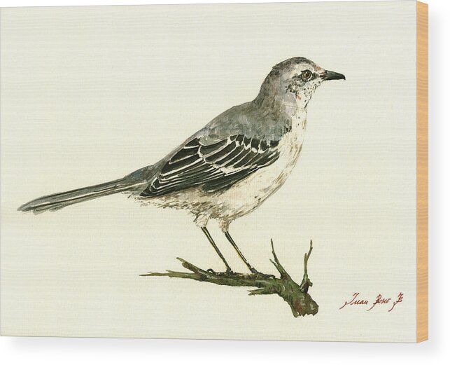 Songbird Art Wood Print featuring the painting Northern Mockingbird by Juan Bosco