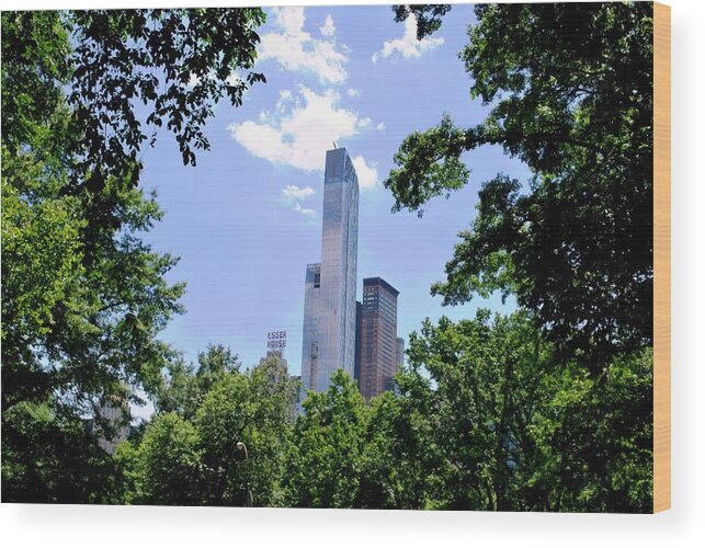 City Wood Print featuring the photograph NYC Skyscraper from Central Park by Matt Quest