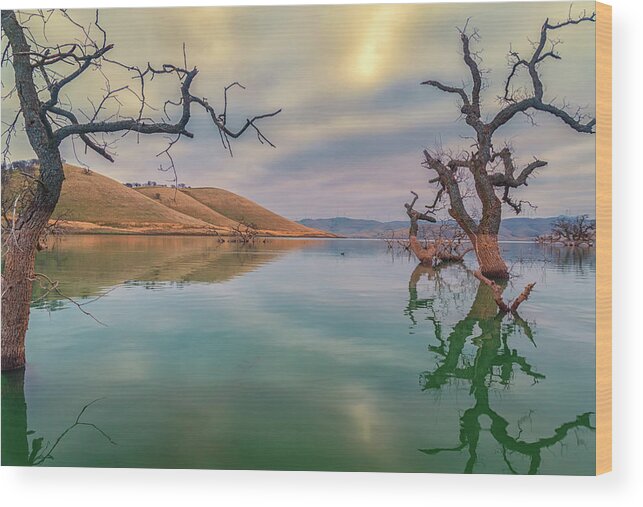 Landscape Wood Print featuring the photograph Oaks in Water by Marc Crumpler
