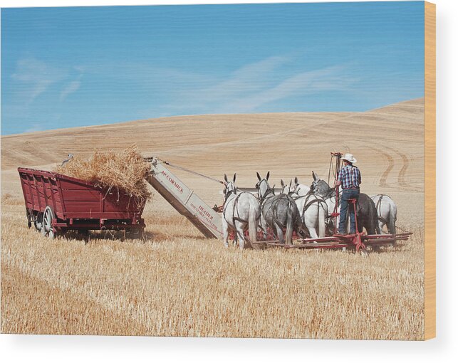 Thrashing Bee Wood Print featuring the photograph Old Time Harvesting by Doug Davidson
