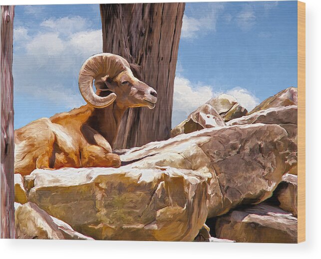 Ram Wood Print featuring the painting On the Rocks by Rick Mosher