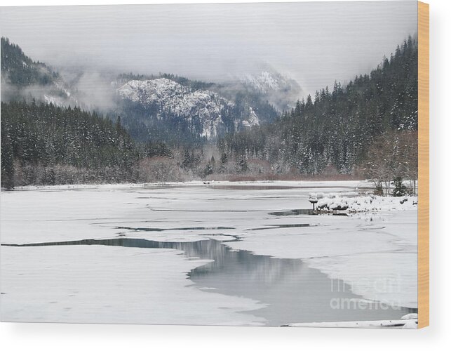 Frozen Wood Print featuring the photograph On Thin Ice by Beth Erickson