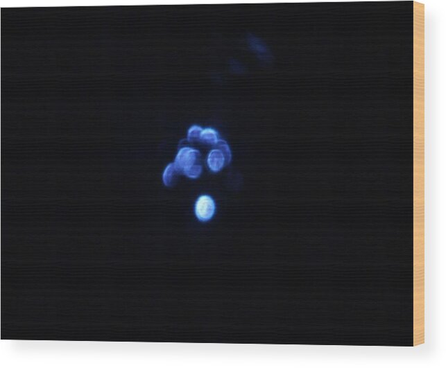 Spheres Wood Print featuring the photograph Once In A Blue Moon by Denise F Fulmer