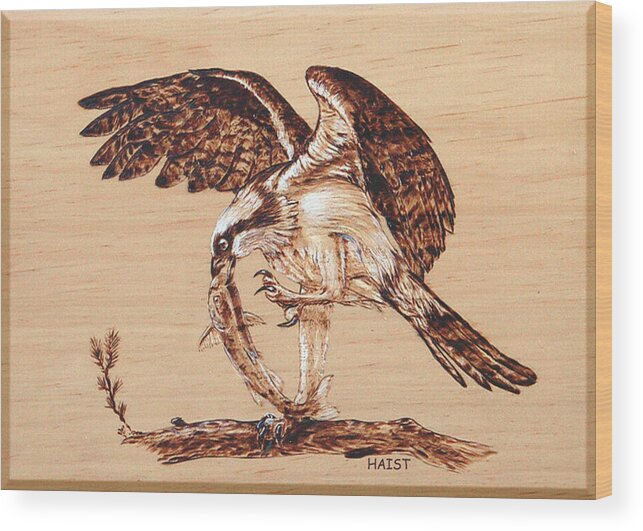 Osprey Wood Print featuring the pyrography Osprey 3 by Ron Haist