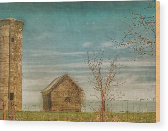 Barn Wood Print featuring the photograph Out on the Farm by Pamela Williams