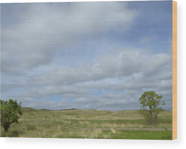 South Dakota Wood Print featuring the photograph Painted Plains by JoAnn Lense