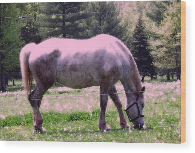 Horse Wood Print featuring the photograph Painted Pony by Susan Carella