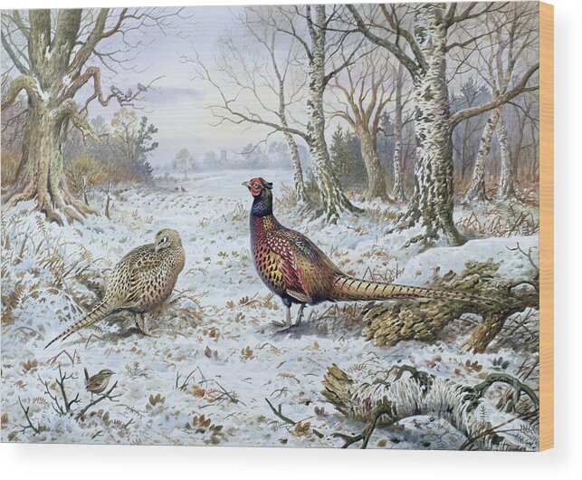 Game Bird; Snow; Woodland; Perdrix; Faisan; Troglodyte; Pheasant; Pheasants; Tree; Trees; Bird; Animals Wood Print featuring the painting Pair of Pheasants with a Wren by Carl Donner