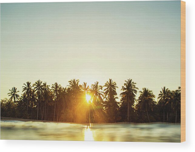 Surfing Wood Print featuring the photograph Palms And Rays by Nik West