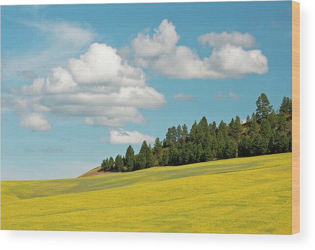 Outdoors Wood Print featuring the photograph Palouse Treeline by Doug Davidson