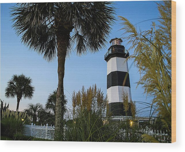 Carolina Wood Print featuring the photograph Pampas Grass, Palms and Lighthouse by David Smith