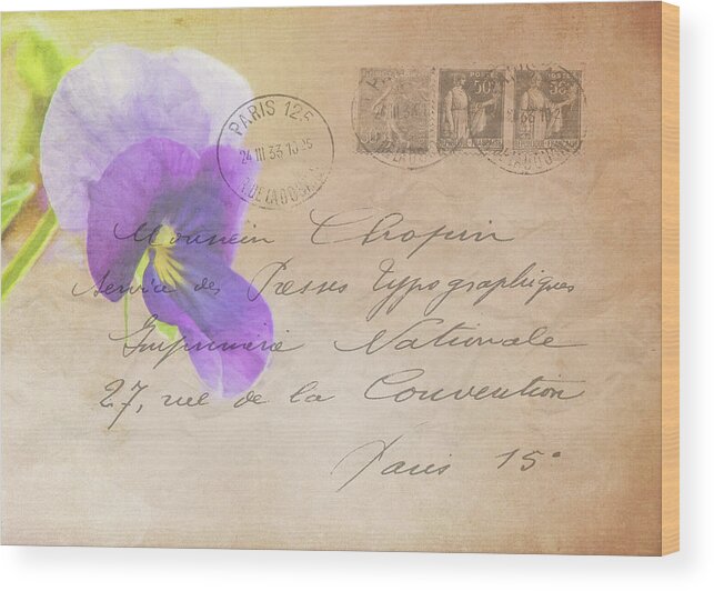 Pansy Wood Print featuring the photograph Pansy Postcard by Cathy Kovarik