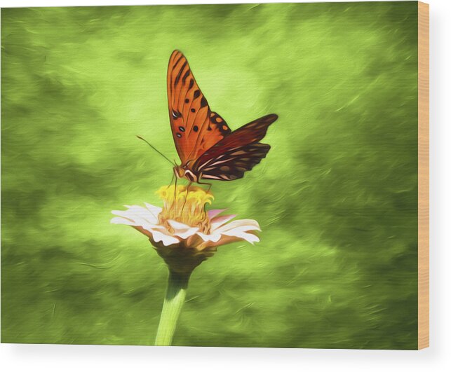 Passion Butterfly Wood Print featuring the photograph Passion Butterfly by Steven Michael