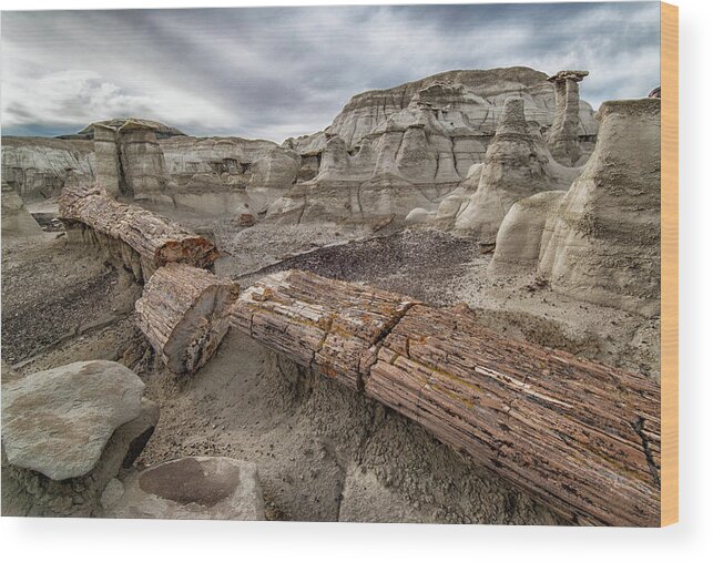 Southwest Usa Wood Print featuring the photograph Petrified Remains by Alan Toepfer