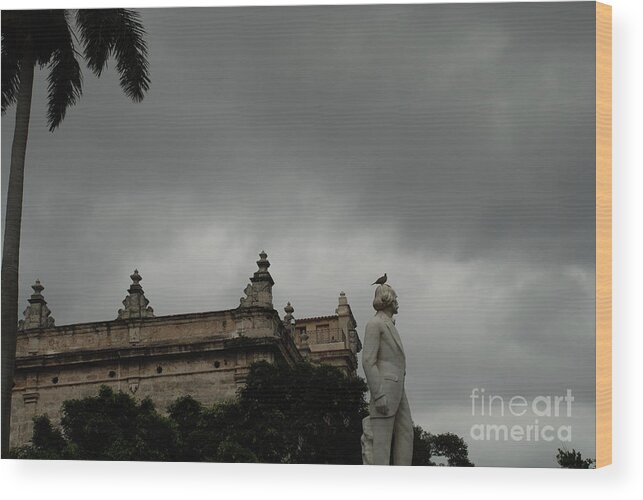 Cuba Wood Print featuring the photograph Pigeon on Head by Jim Goodman
