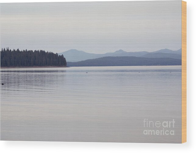 Forest Wood Print featuring the photograph Placid mountain lake by Cindy Garber Iverson
