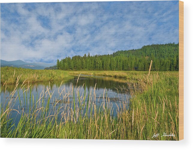 Beauty In Nature Wood Print featuring the photograph Plummer Creek Marsh by Jeff Goulden