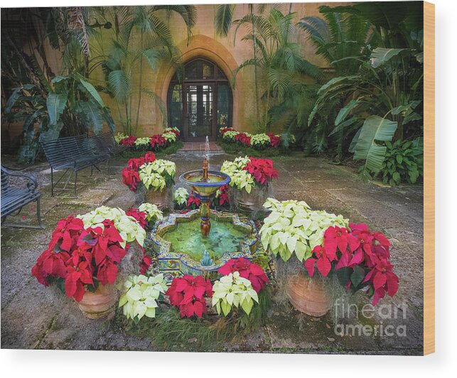 5 X 7 Wood Print featuring the photograph Poinsettias at Pinewood Estate, Bok Tower by Liesl Walsh