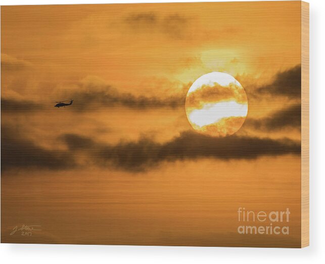  Wood Print featuring the photograph Point Loma Knighthawk 1 by Jeffrey Stone