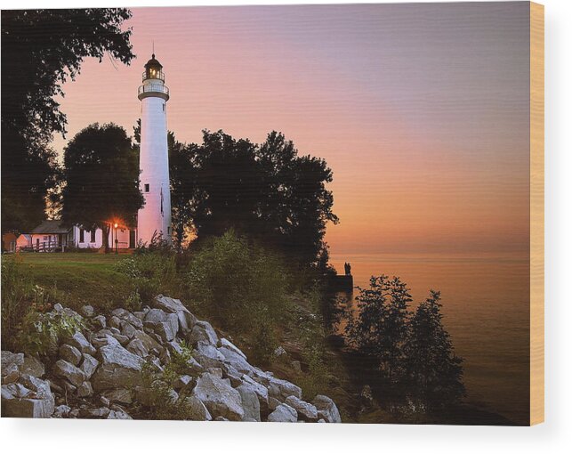 Landscape Wood Print featuring the photograph Pointe Aux Barques by Michael Peychich