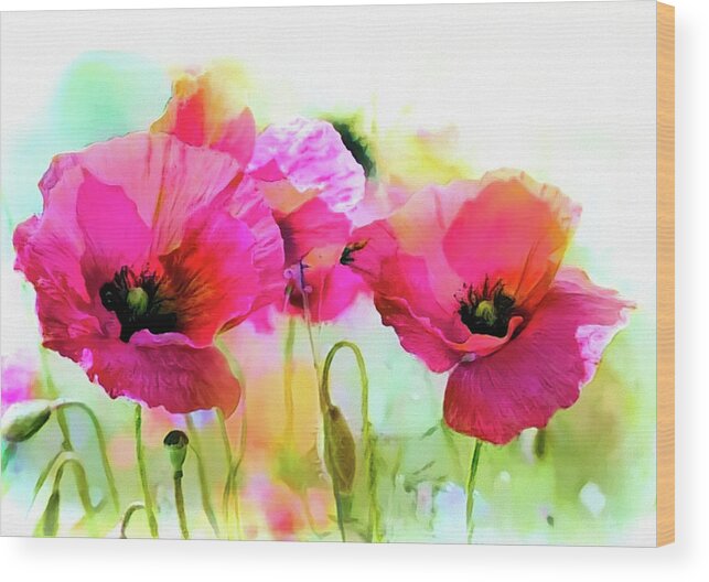 Poppy Wood Print featuring the mixed media Poppies by Lilia S