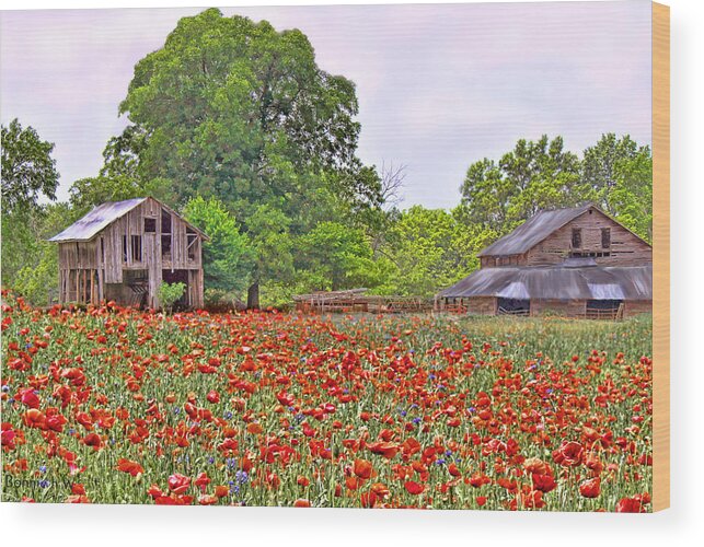 Poppies Wood Print featuring the photograph Poppies on the Farm by Bonnie Willis