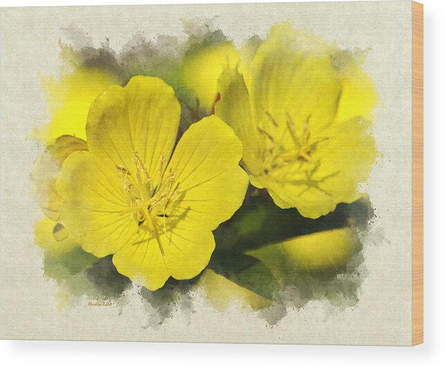 Thank You Wood Print featuring the mixed media Primrose Flower Invitation Note Card by Christina Rollo