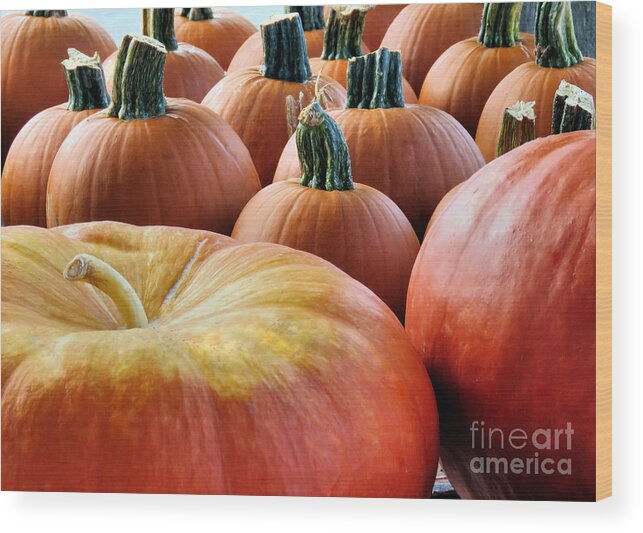 Pumpkins Wood Print featuring the photograph Pumpkin Time by Janice Drew