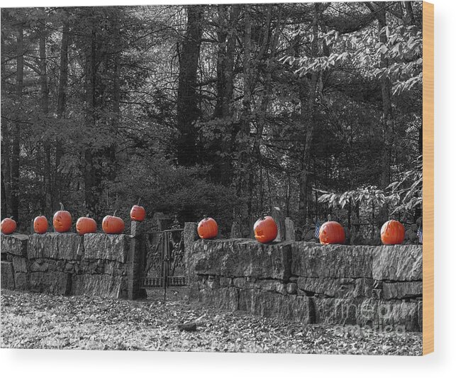 Pumpkins Wood Print featuring the photograph Pumpkins on a wall by Mim White