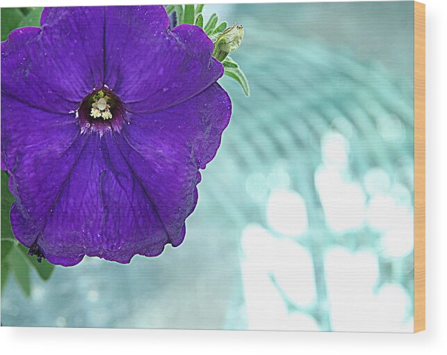 Flowers Wood Print featuring the photograph Purple Impatiens by Jean Macaluso
