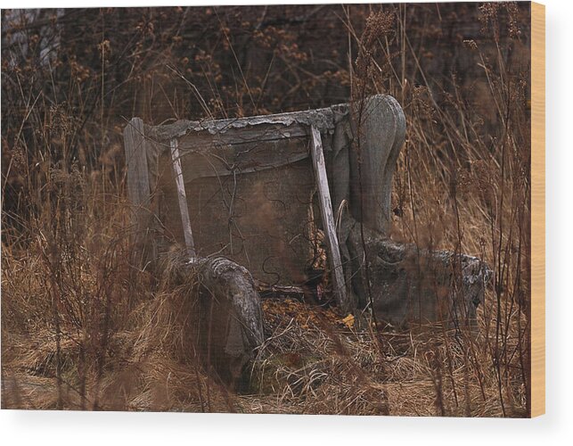 Chair Wood Print featuring the photograph Putting Down Roots by Sue Capuano