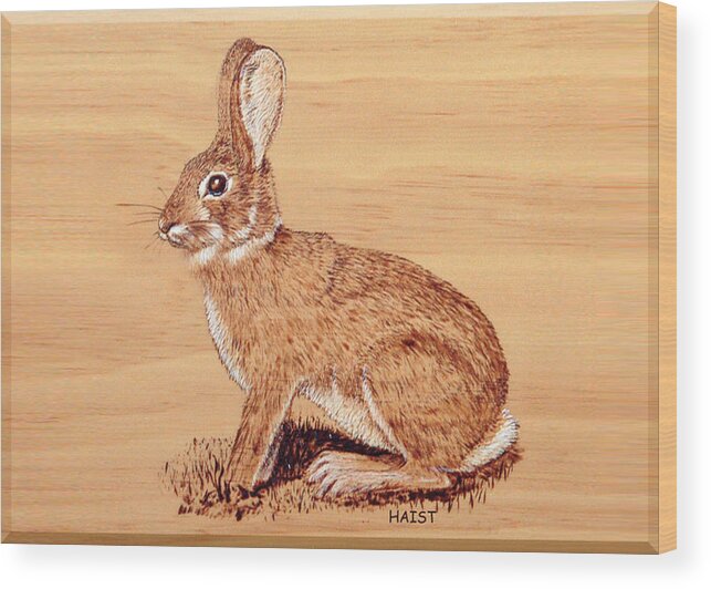 Hare Wood Print featuring the pyrography Rabbit by Ron Haist