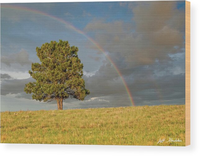 Arizona Wood Print featuring the photograph Rainbow Over a Lone Tree by Jeff Goulden