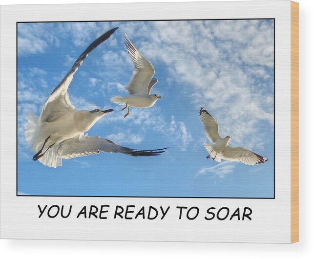 Greeting Card Wood Print featuring the photograph Ready to Soar by Geraldine Alexander