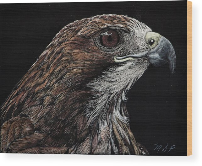 Red Tail Hawk Wood Print featuring the painting Red Eye by Margaret Sarah Pardy