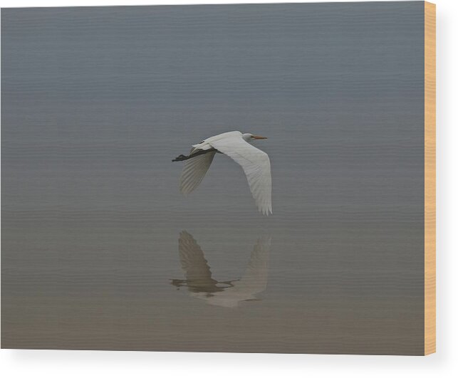 Egret Wood Print featuring the photograph Reflection by Beverly Cummiskey