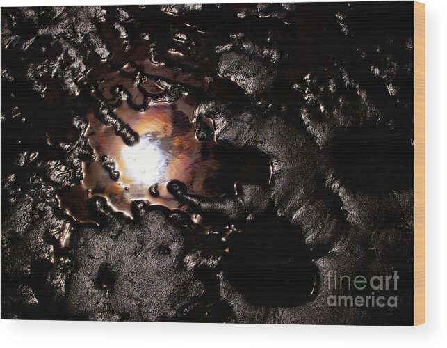 Beauty In Nature Wood Print featuring the photograph Reflection of the Sun by Venetta Archer