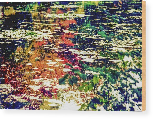 Oscar-glaude Monet Wood Print featuring the photograph Reflection on Oscar - Claude Monet's Garden Pond by D Davila