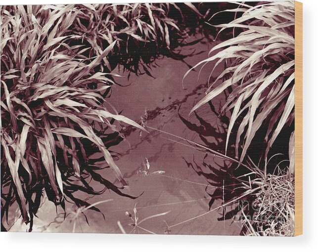 Reflecion Wood Print featuring the photograph Reflections 2 by Mukta Gupta