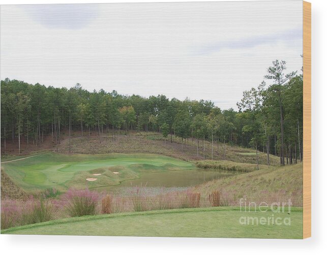 Landscape Wood Print featuring the photograph Reynolds Plantation Golf GA USA by Jan Daniels