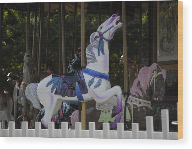 Carousel Wood Print featuring the photograph Ride by Elsa Santoro