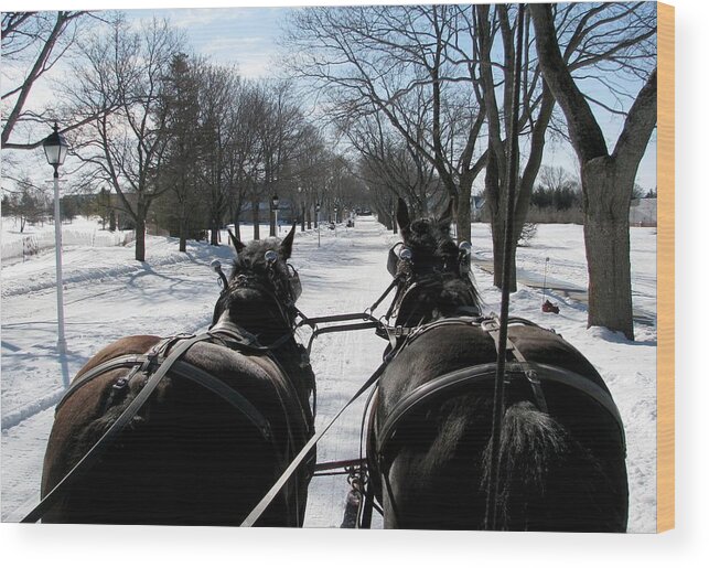 Winter Wood Print featuring the photograph Riding into Town by Keith Stokes