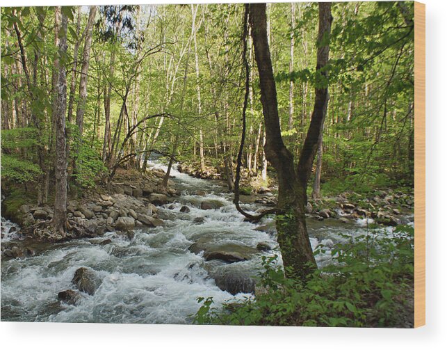 River Wood Print featuring the photograph River at Greenbrier by Sandy Keeton