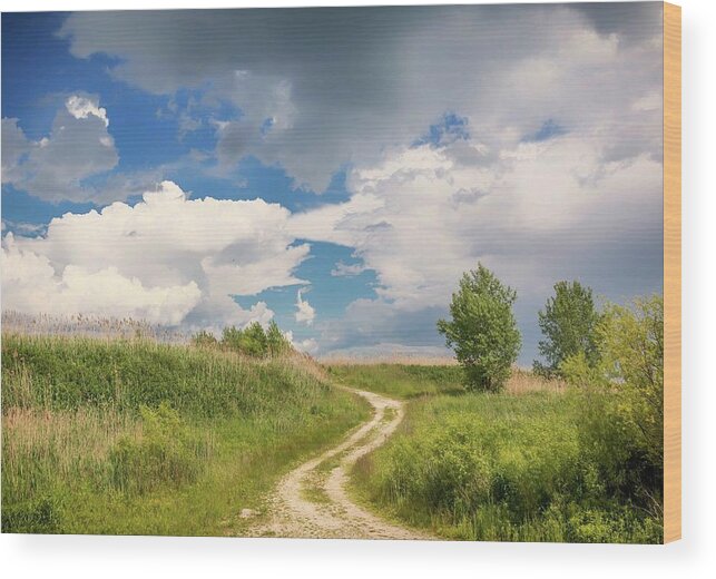 Cloud Formation Wood Print featuring the photograph Road to the Sky by Patti Raine