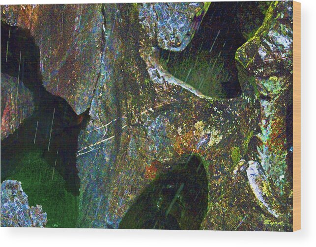 Rock Wood Print featuring the photograph Rock of the Rainforest by Christopher Byrd