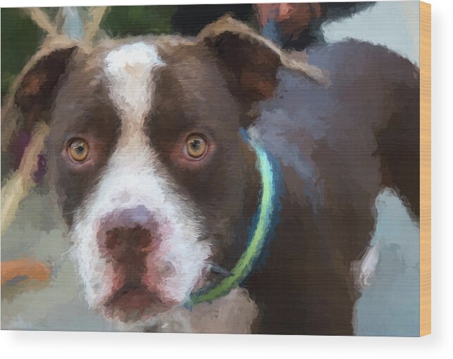 Dog Wood Print featuring the digital art Rocky the Renoir by Bill Linhares