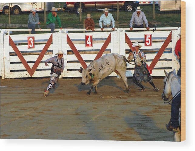 Rodeo Wood Print featuring the photograph Rodeo 335 by Joyce StJames
